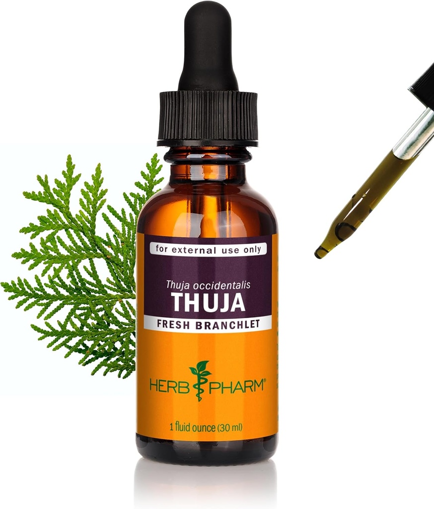 Estratto di liquido di Branchlet di Pharm Thuja - 1 oncia (DTHUJA01)