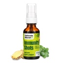 Bottiglia 1oz, Radice di zenzero organico, Olio di origano - Potente & Pure Immune System Booster - Sistema Immune Support & Wellness Shot (Pack of 1)
