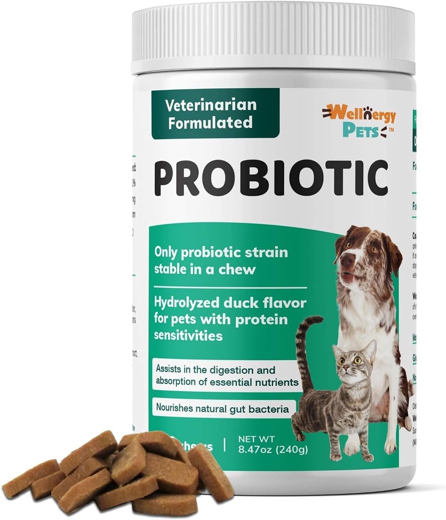 Wellnergy Daily Probiotics & Prebiotics Soft Chew for Dogs & Cats - Supporto digestivo per diarrea, costipazione, upset Stomach, Indigestion & Gas - Aiuta la digestione, Allergy Skin & Immune Health 160ct
