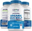 Organic Sea Kelp (Icelandic) Enhanced - Pure Healthy Thyroid Support Natural Iodine Supplement w/Organic Sea Kelp, Blue-Green Algae & Red Algae - Immune System & Metabolism Support - 90 Capsule