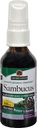 Risposta della natura Sambucus Syrup Extract Spray 2 Fluid Ounces | Booster immunitario sul Go | Travel Friendly | Rich in Antiossidanti | Supporto immunitario naturale
