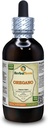 Oregano (Origanum Vulgare) Tintura, Estratto liquido di foglie secche organiche (Nome: HerbalTerra, Realizzato in USA) 4 fl.oz (120 ml)