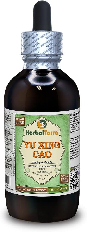Yu Xing Cao (Houttuynia Cordata) Glycerite, Estratto liquido senza alcool di erbe essiccato (Nome: HerbalTerra, Proudly Made in USA) 4 fl.oz (120 ml)