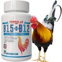 Farmalab B12 B15 per Roosters B15 B12 para Gallos 100 Tavole