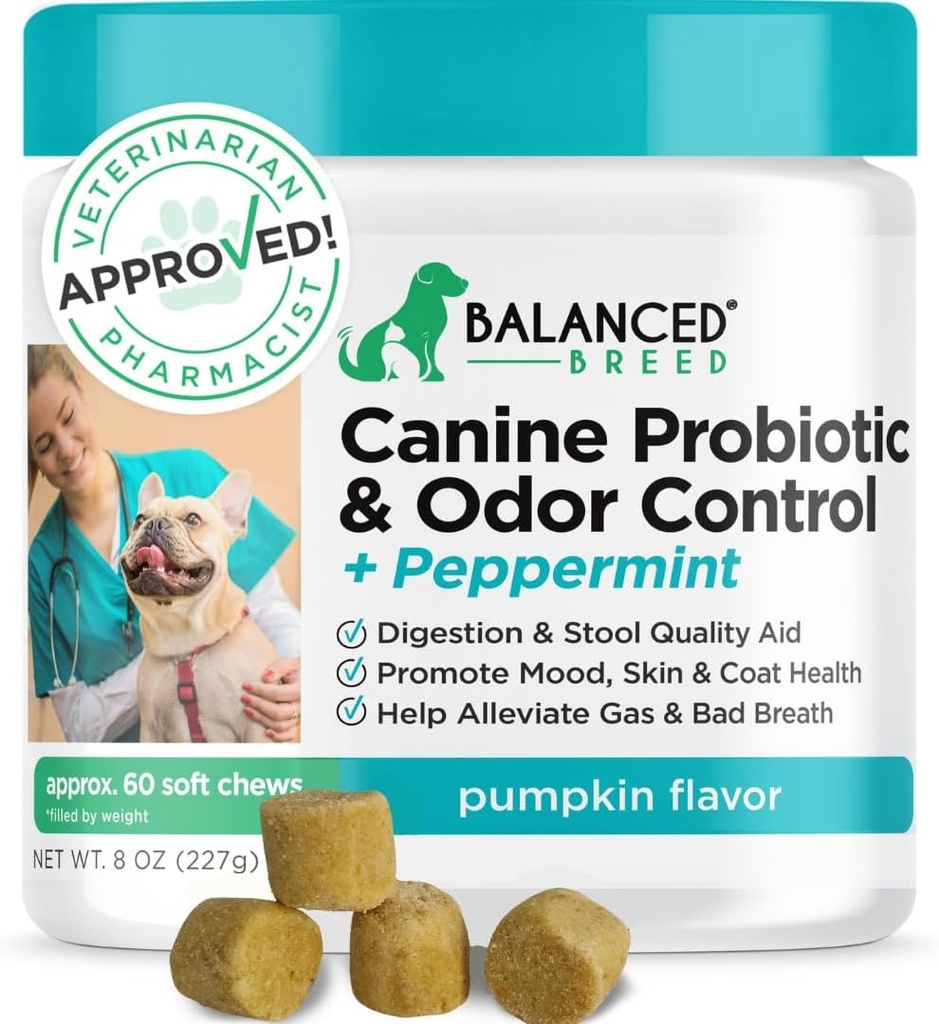 Enzimi di salute digestivi del cane di razza bilanciato Made in USA Vet-Pharmacist approvato Fortiflora Probiotics Dogs Anti Yeast Supplements Constipation Relief Dog Yeast Itchy pelle Ears non-GMO