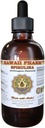 HawaiiPharm Spirulina Liquid Extract, Spirulina Organica (Arthrospira platensis) Tintura, Integratore di erbe, Made in USA, 2 fl.oz