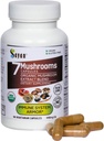 Estratto di funghi di Sayan 7 90 capsule/440mg ea – Supporto immunitario & energia – Chaga organico, Reishi, Mane del leone, Maitake, Shiitake, Miscela di Adaptogen Tail Turchia – Vegan, Non OGM, Nessun Filler o Additivi