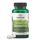 Swanson doppio resistenza Boswellia Serrata Ayurvedic supplemento congiunto per gli adulti attivi alla ricerca di flessibilità e mobilità - 800 mg (60 capsule)