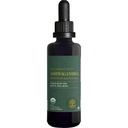 Global Healing Center - Organic Ashwagandha Supplementi Gocce - KSM-66 Ashwagandha Extra Forza per Uomini & Donne, Aiuta a promuovere il sollievo da stress, Mood Support, Organic (2 Fl Oz)