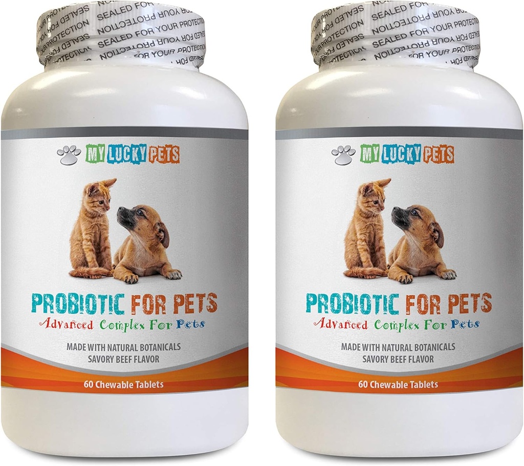 enzimi digestivi probiotici del cane - PET PROBIOTIC - DOGS E CATS - BOOST DIGESTIVE - GET RID OF BAD BREATH E STOP DIARRHEA - lactobacillus salivarius probiotic - 2 bottiglie (120 Treats)