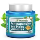 HERBOGANIC Ashwagandha Sea Moss Gummies - 60 Conte