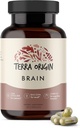 Terra Origine, Integratore sano del cervello, Capsule, 30 Serve, con CDP Choline, Ginkgo Biloba Extract, and Bacopa - per la mente sana, migliora la memoria, Richiamo e Funzione