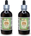 Piccolo fiore Willow (Epilobium parviflorum) Glycerite, Estratto liquido senza alcool di erbe essiccato (Nome: HerbalTerra, Realizzato in USA) 2x4 fl.oz (2x120 ml)