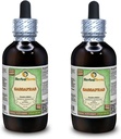 Sassafras Organico (Sassafras Albidum) Glycerite, Dried Leaves Alcohol-Free Liquid Extract (Brand Name: HerbalTerra, Proudly Made in USA) 2x4 fl.oz (2x120 ml)