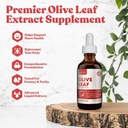 Estratto di foglie di oliva attivo di Rejuvica | Gocce liquide di Oleuropeina naturale per il supporto cardiaco e immunitario | Fast-Absorption, Vegan, Alcohol-Free | 6 fl oz