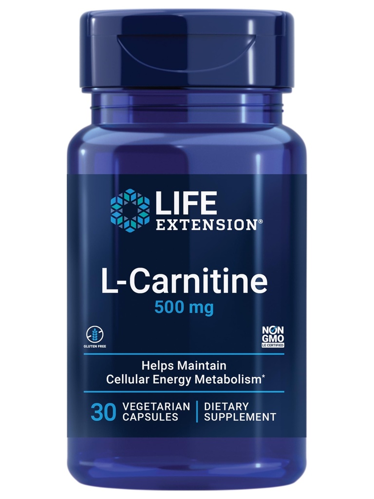 L-carnitina – 500 mg, supplemento di energia, supplemento di memoria – Aminoacido di forma libera, supporto di ossido nitrico, sangue sano – senza glutine, non OGM, vegetariano – 30 capsule