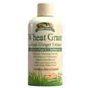 Liquido da erba da giardino Greens con estratto di zenzero reale, Superfood perfetto della natura, 32 porzioni