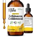 Gocce liquide selvatiche e organiche di Echinacea - Integratore di supporto immunitario w/Goldenseal Echinacea Root Extract - Vegan, Tintura senza zucchero e alcol - 2 fl oz