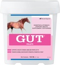 Pellets GutTM | Probiotici di Gut sani per cavalli | Polvere prebiotica e probiotica Equine | Supplemento di Stomach di cavallo | 13.5 lb