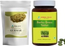 HERBAL HILLS Gurmar Tea Polvere e Orzo Erba Tablets Pack di 2 Combo
