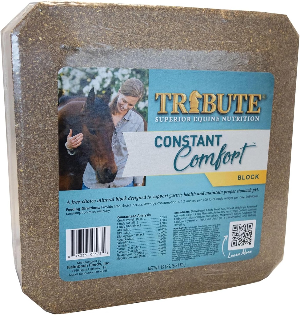Blocco di supplemento di comfort costante per sostenere la salute gastrica in cavalli, 15 lb