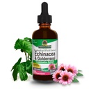 Risposta della natura Echinacea & Goldenseal con alcool organico, once 2-Fluid