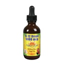 Natura Vita B-12 Gocce, Methlycobalamin 4 oz (2 Fl Oz (Pack of 1))