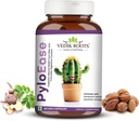 PyloEase | Integratore a base di erbe ayurvedica tradizionalmente usato per sostenere il comfort digestivo & Daily Balance | Associato con sollievo da Discomfort digestivo | 60 capsule di veg, (Pack of 1)
