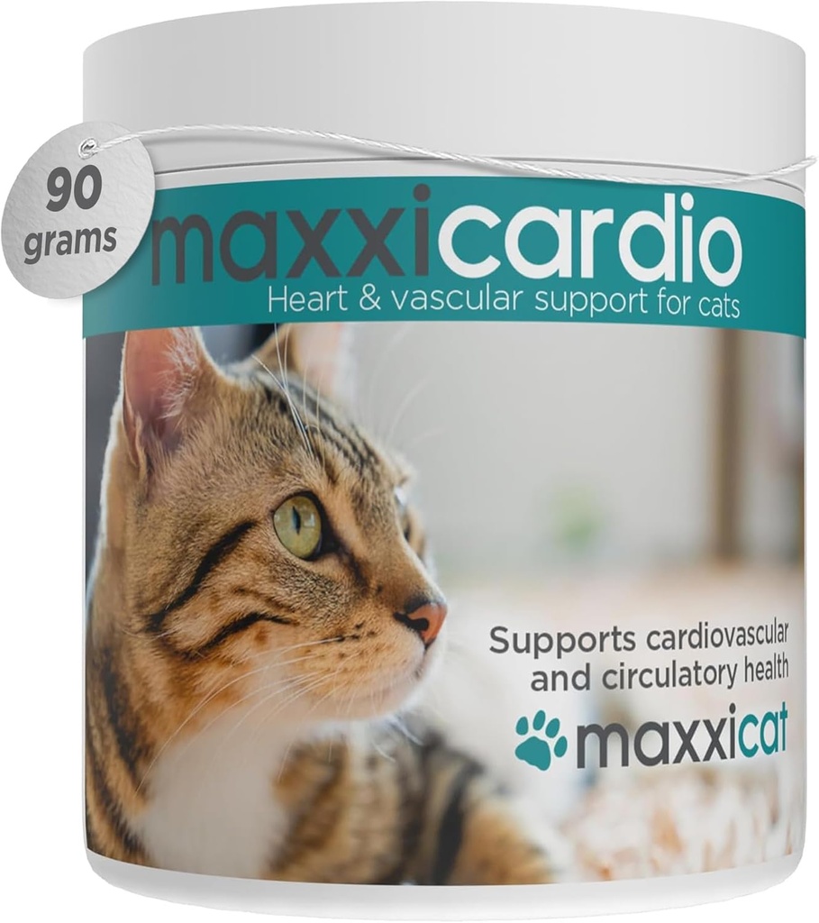 maxxicardio cuore e polvere cardiovascolare supplemento per gatti, 3.2oz