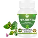 Punarnava Capsules (Boerhaavia Diffusa) 500mg – 60 Veg Capsules | Integratore Benessere Erboso per Rene Naturale & Liver Support | Detox & Cleansing Formula | Confezione da 1