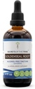 Segreti della Tribe Goldenseal Root Tincture Alcohol-Free Extract, High-Potency Herbal Drops, Tincture Made da Responsibilmente allevato Goldenseal Hydrastis Canadensis Healthy Digestion 4 oz