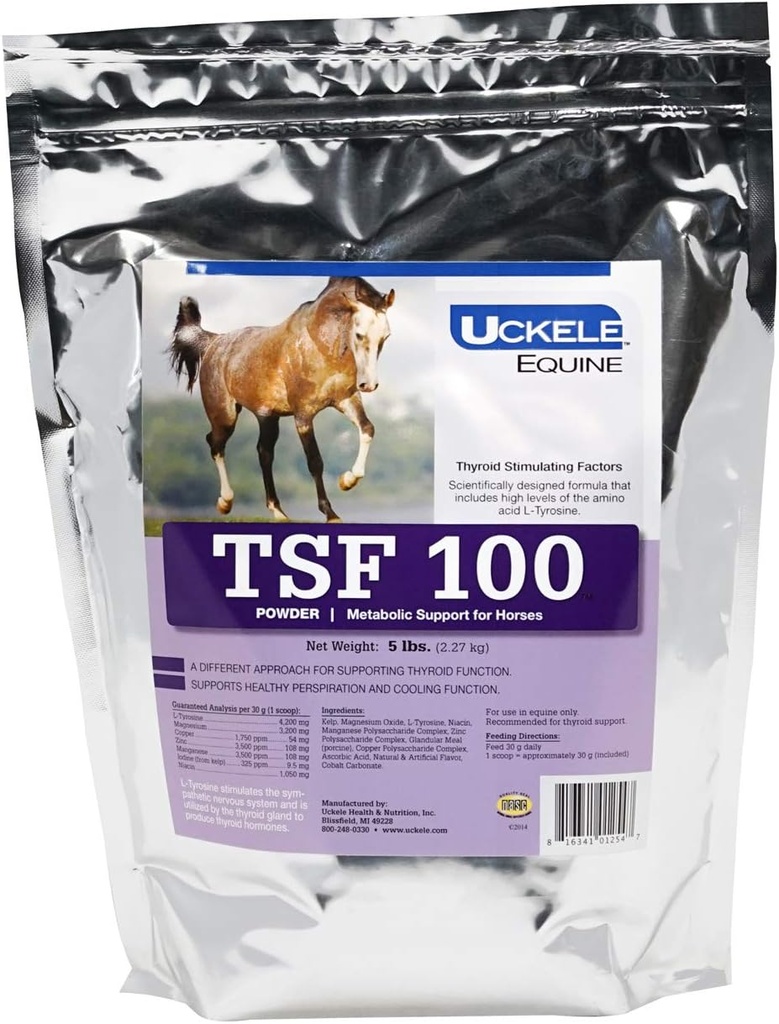 Uckele Equine TSF 100 polvere di supporto Metabolic, 5 sacchetti