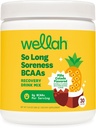 Wellah Soreness lunga polvere BCAA (Pina Colada aromaed) 30 Serve - con Complesso di idratazione