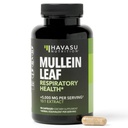 Mullein Leaf Capsules per la salute respiratoria - 5000mg Extract 10:1 per il supporto polmonare e la funzione immunitaria - 90 Count - Vegan, Non-OGM Capsules - Integratore di erbe per il benessere quotidiano - 3 Mesi di alimentazione