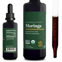 Global Healing Center - Estratto di chicco di caffè verde Oleifera Gocce liquide, Moringa Supplement-Vegan da Foglie di albero- Assorbimento massimo di vitamine e minerali- Più potenza che polvere forma (2 Fl Oz)