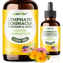 Drenaggio Lymphatic Drops Pack 1- Lymph Detox, Circulation - Integratori di drenaggio linfatico con erbe organiche, Echinacea, Dandelion, Burdock, Cleaver Herb - Supporto e pulizia del sistema immunitario