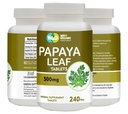 Estratto di foglie di Papaya (Tablets) - 500 mg 240 pillole, Supporta l'immunità e la digestione del piatto - 60 giorni di alimentazione
