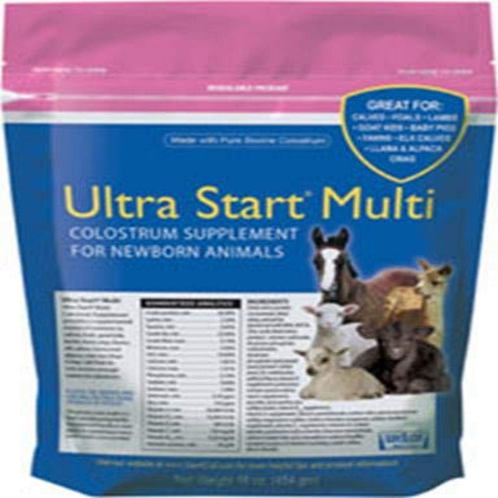 Colostrum Supplemento per cavalli