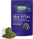 Animal Essentials Ocean Kelp per cani e gatti - supporto tiroideo, supplemento di tiroide, polvere di kelp del mare, minerali di trace, veterinario consigliato - 8 Oz