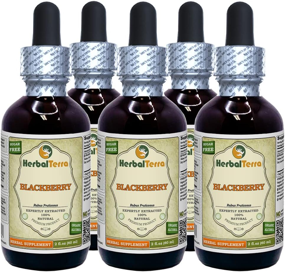 Blackberry (Rubus fruticosus) Tincture, Organic Dried Leaves Liquid Extract (Brand Name: HerbalTerra, Proudly Made in USA) 5x2 fl.oz (5x60 ml)