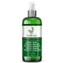 Trattamento di eczema naturale - trattamento di psoriasi - una soluzione all-in-one per l'acne, la dermatite, la Rosacea, le ulcere fredde, le punte, l'edera velenosa - spray anti-itch per il sollievo della pelle di prurito 4oz