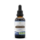 Segreti della Tribù Echinacea Angustifolia Tincture Alcohol-Free Liquid Extract, Responsabile allevato Echinacea Angustifolia Dried Root (2 FL OZ)
