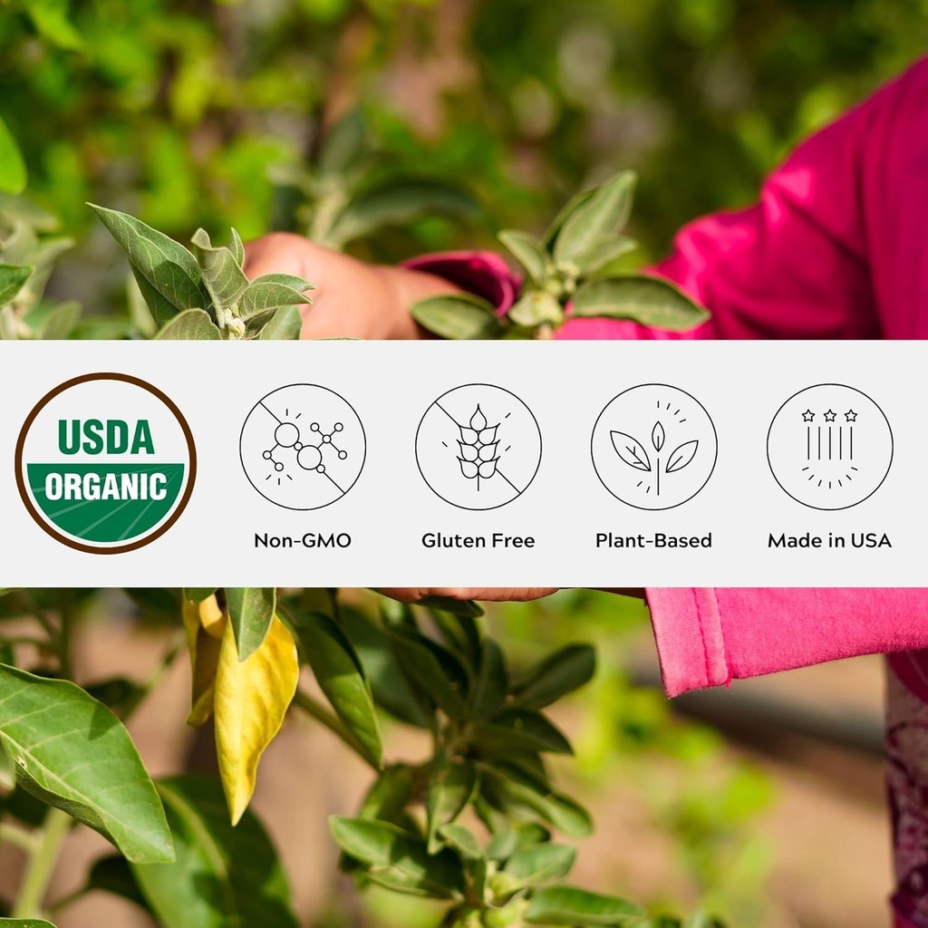 Polvere organica di Ashwagandha, non OGM, Fair-Trade, Vegan, Gluten Free, Singola origine, Cresciuto in Oregon supplemento ayurvedico ayurvedico in vaso risaltabile
