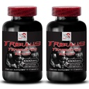 Aumentare il desiderio sessuale - TRIBULUS TERRESTRIS EXTRACT - Tribulus terrestris estratto per la fonte di energia, Sesso pillole di azionamento per gli uomini e le donne, Sesso pillole di azionamento, Libido booster - 2 bottiglie 180 compresse