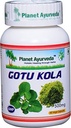 Planet Ayurveda Gotu Kola, 500mg Veg Capsules-Single Bottiglia