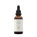 Erbe Lomatium B60 Estratto di erbe senza alcool Tintura, liquido concentrato gocce Lomatium naturale (Lomatium Dissectum) 2 fl oz