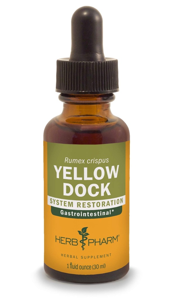 Estratto di liquido del dock giallo dell'erba Pharm per il supporto del sistema digestivo - 1 oncia