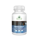 Perfect Vision AREDS2 Ispirato Formula - Enhance Vision Supplement - Lutein Zeaxanthin Vision Complex (60 capsule per occhi)