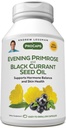 ANDREW LESSMAN sera Primrose e Black Currant Seed Oil 360 Softgels - Soothes Physical Discomfort and Mood Swings A causa di ciclo mestruale, con Gamma-Linolenic, Omega-6 acidi grassi, senza additivi