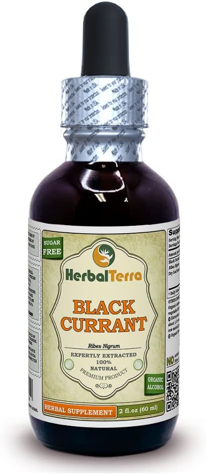 Ribes nero (Ribes nigrum) Tintura, Dried Leaves Liquid Extract (Nome: HerbalTerra, Realizzato in USA) 2 fl.oz (60 ml)